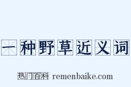 一种野草近义词是什么意思的图片